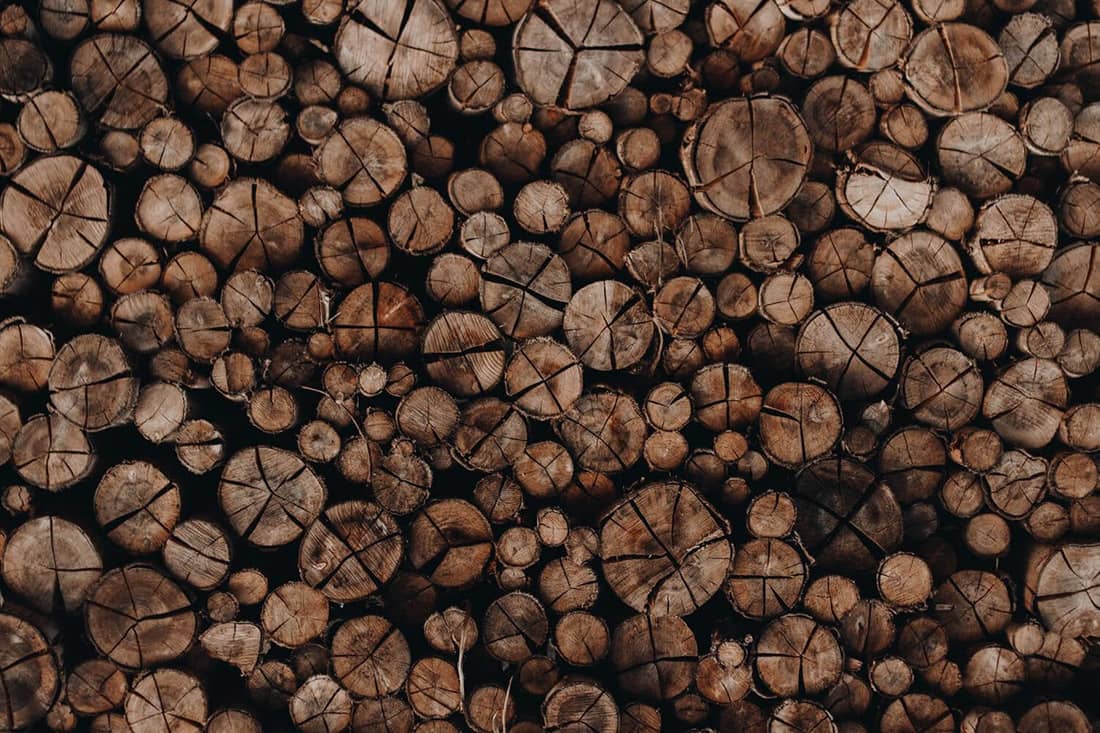 A pile of cut logs.