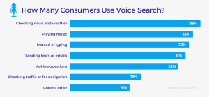 Voice Search Statistics