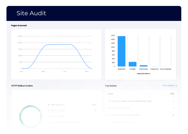 Click Insights Site Audit Graphic.