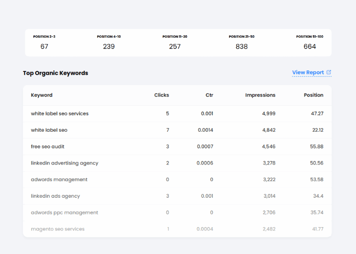 Click Insights top organic keywords
